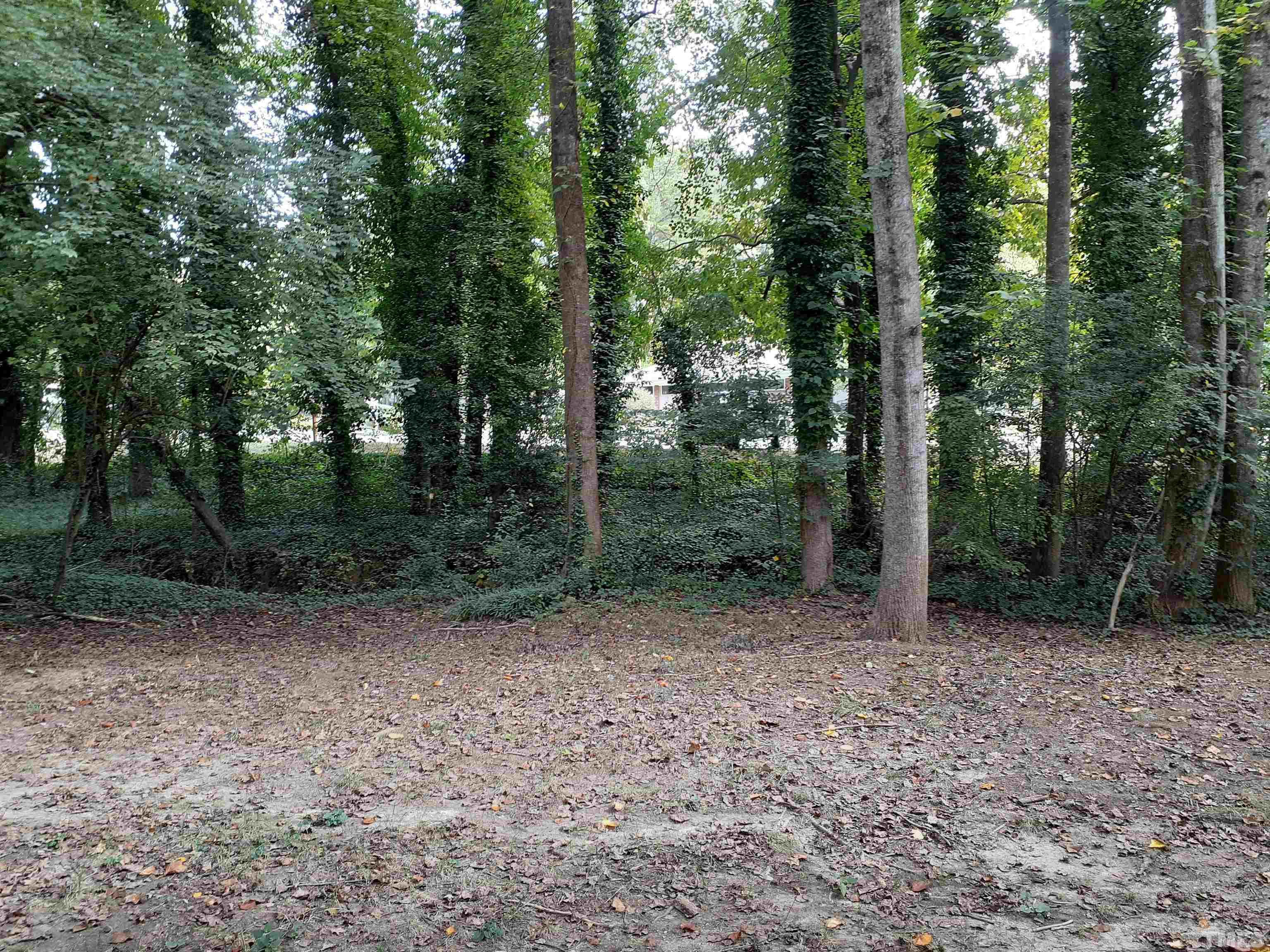 1412 Mapleside Court Raleigh, NC 27609 - Photo 4 of 26 Gallery Image 4