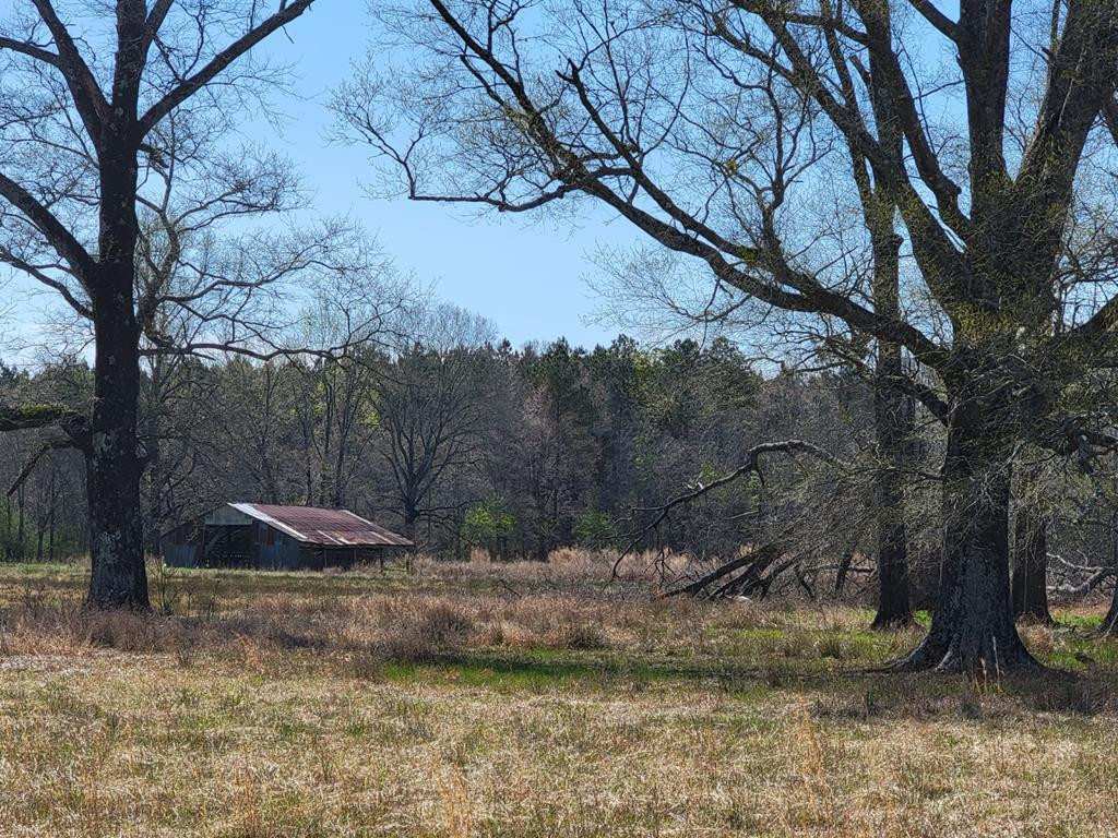 0 Smith Ferry Road Sontag, MS 39665 - Photo 1 of 25 Main View