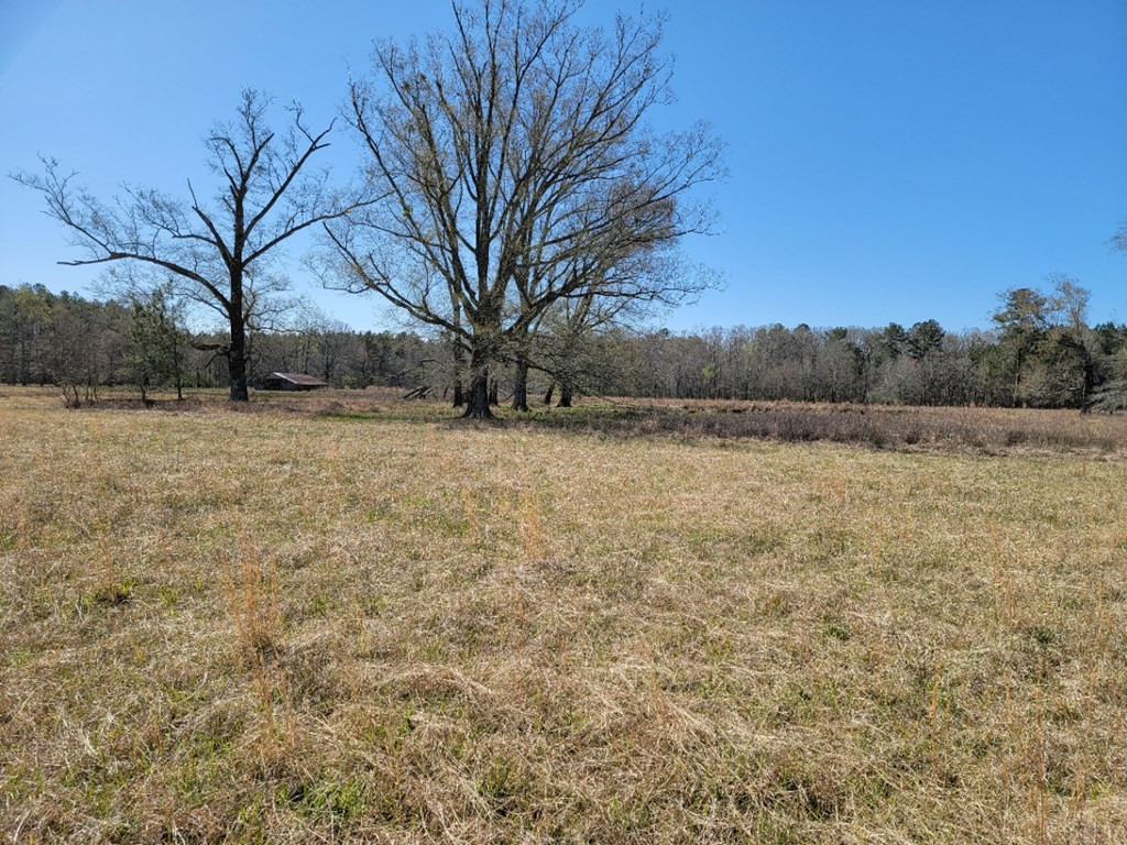 0 Smith Ferry Road Sontag, MS 39665 - Photo 11 of 25 Photo 11