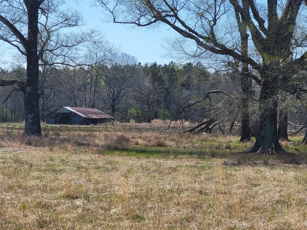 0 Smith Ferry Road Sontag, MS 39665 - Photo 12 of 25 Photo 12
