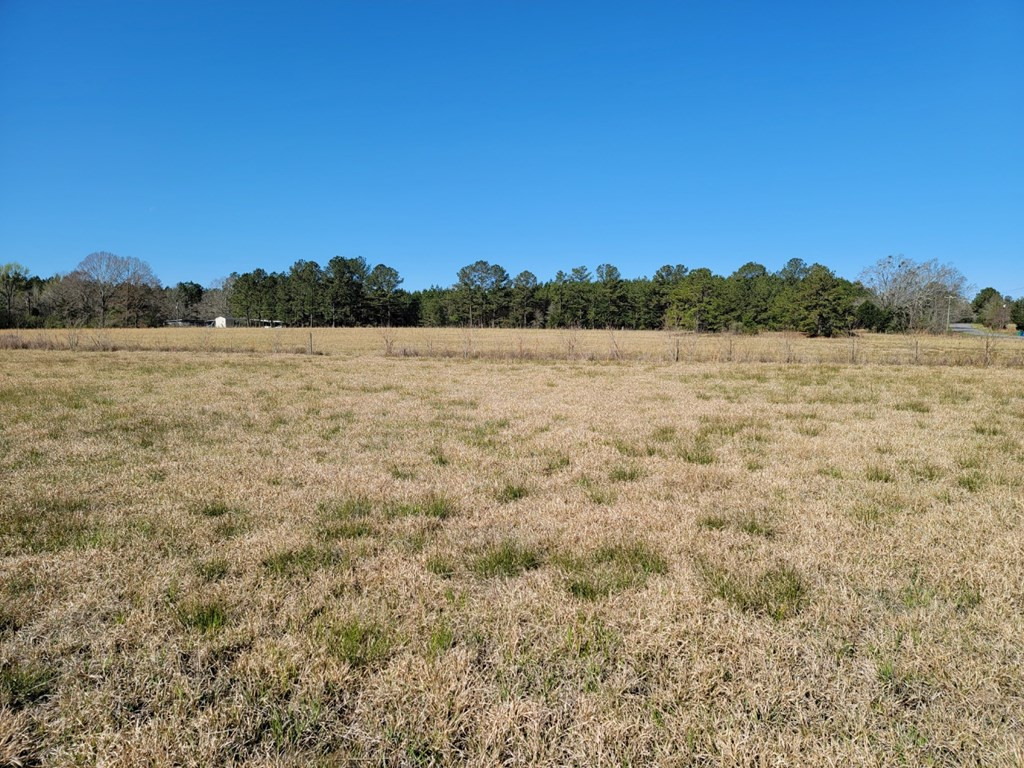0 Smith Ferry Road Sontag, MS 39665 - Photo 13 of 25 Photo 13