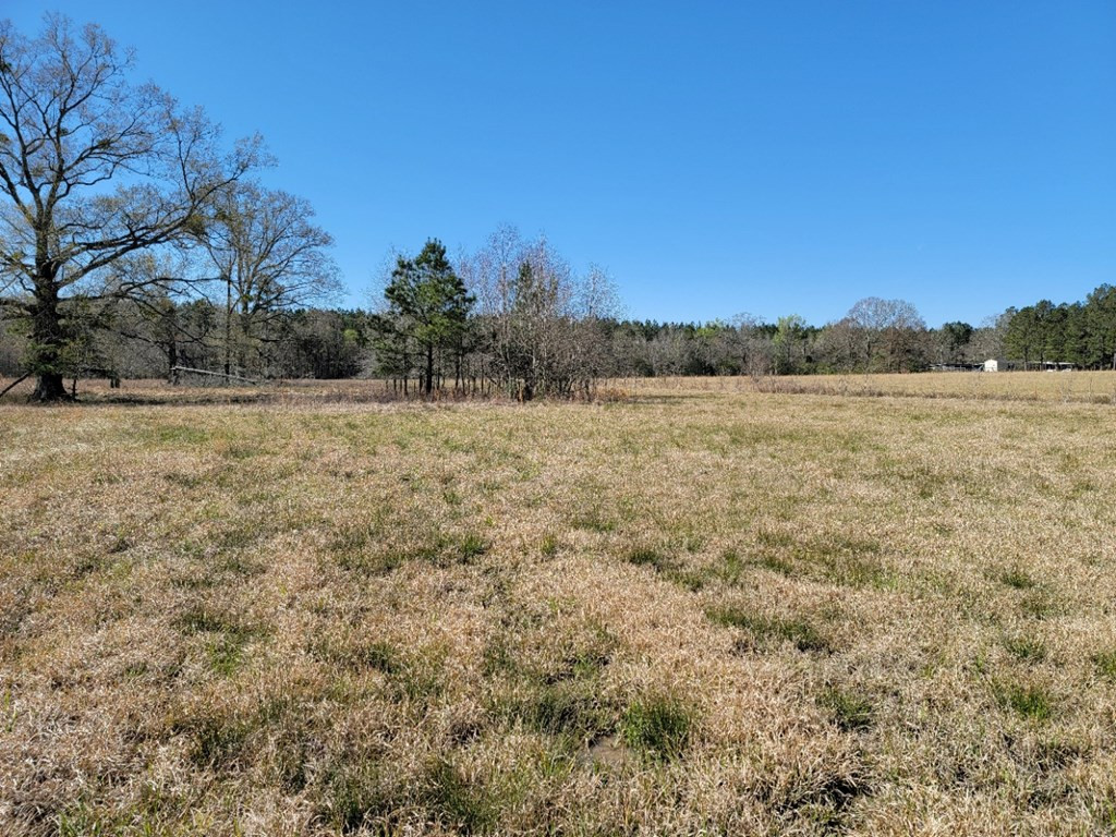 0 Smith Ferry Road Sontag, MS 39665 - Photo 14 of 25 Photo 14