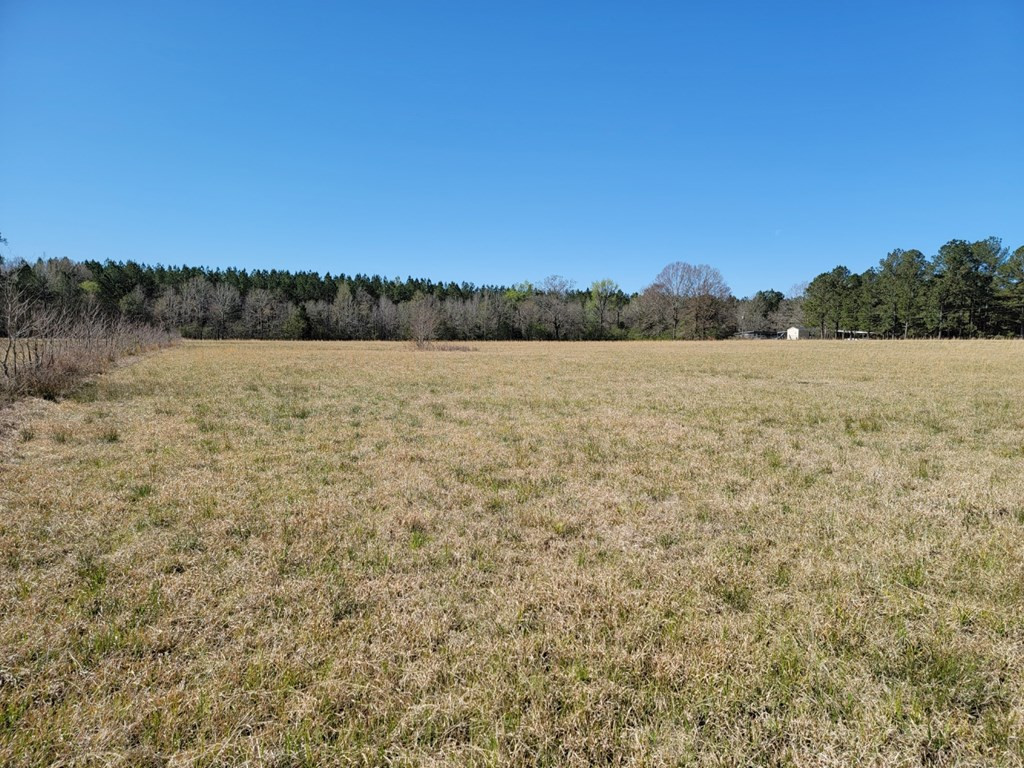 0 Smith Ferry Road Sontag, MS 39665 - Photo 15 of 25 Photo 15