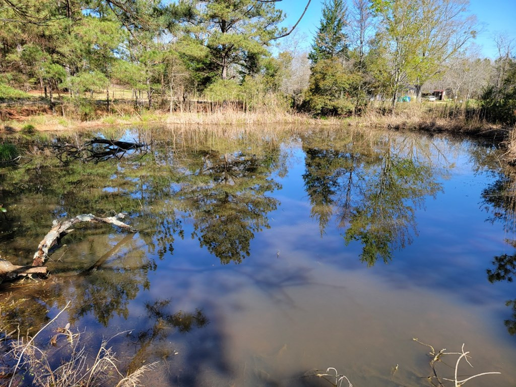 0 Smith Ferry Road Sontag, MS 39665 - Photo 17 of 25 Photo 17