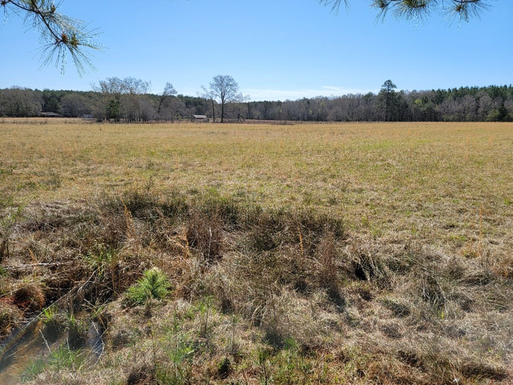 0 Smith Ferry Road Sontag, MS 39665 - Photo 18 of 25 Photo 18
