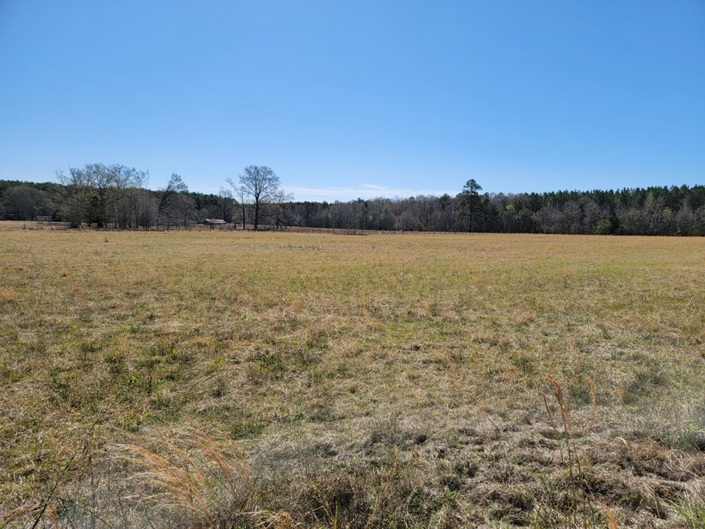 0 Smith Ferry Road Sontag, MS 39665 - Photo 19 of 25 Photo 19