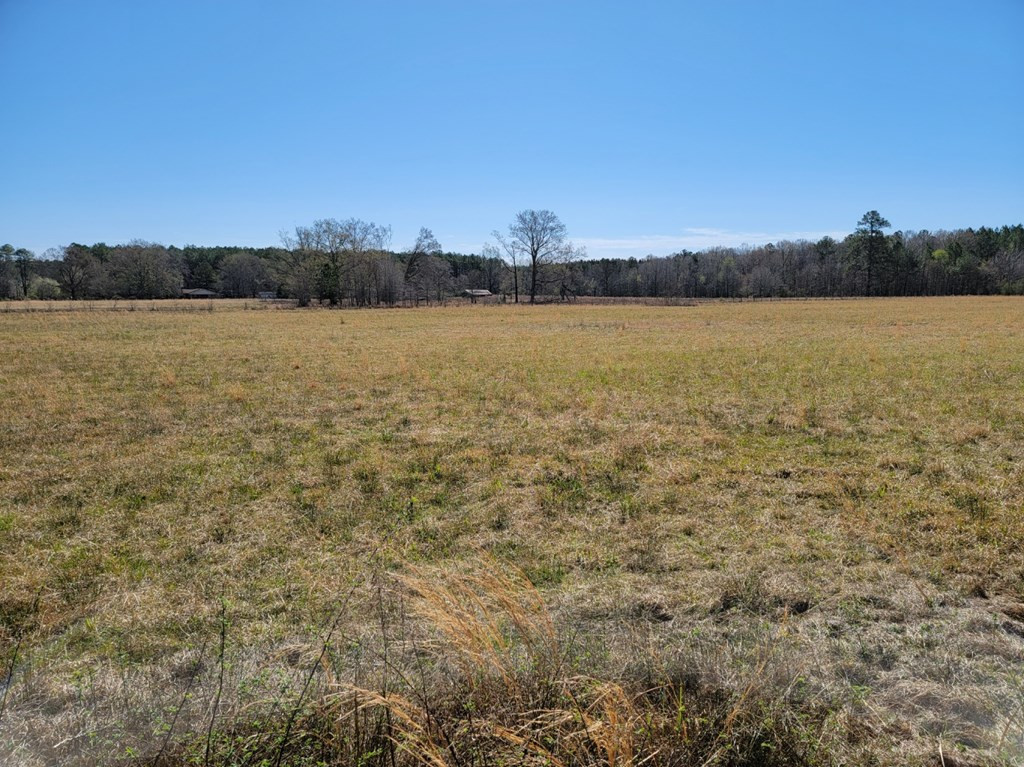 0 Smith Ferry Road Sontag, MS 39665 - Photo 20 of 25 Photo 20