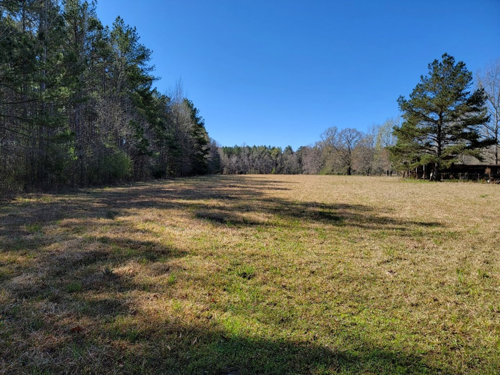 0 Smith Ferry Road Sontag, MS 39665 - Photo 2 of 25 Photo 2