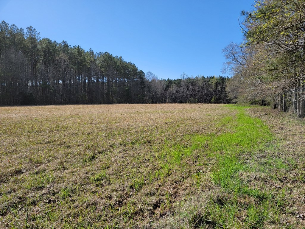 0 Smith Ferry Road Sontag, MS 39665 - Photo 3 of 25 Photo 3
