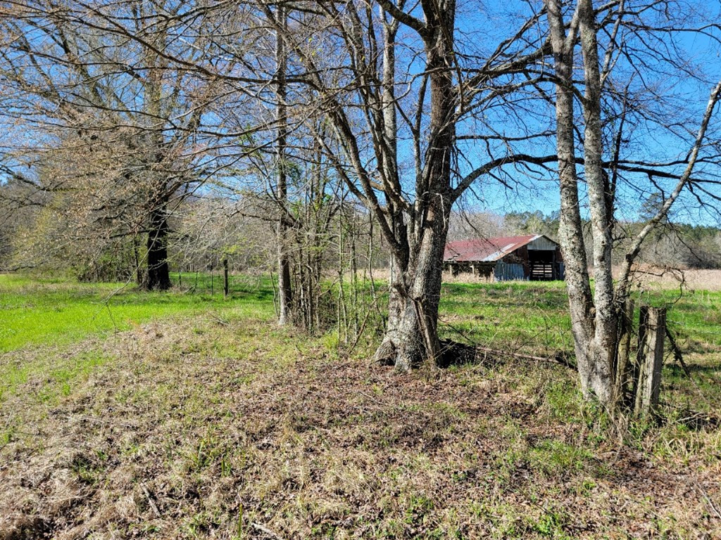 0 Smith Ferry Road Sontag, MS 39665 - Photo 4 of 25 Photo 4