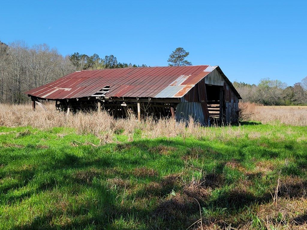 0 Smith Ferry Road Sontag, MS 39665 - Photo 5 of 25 Photo 5