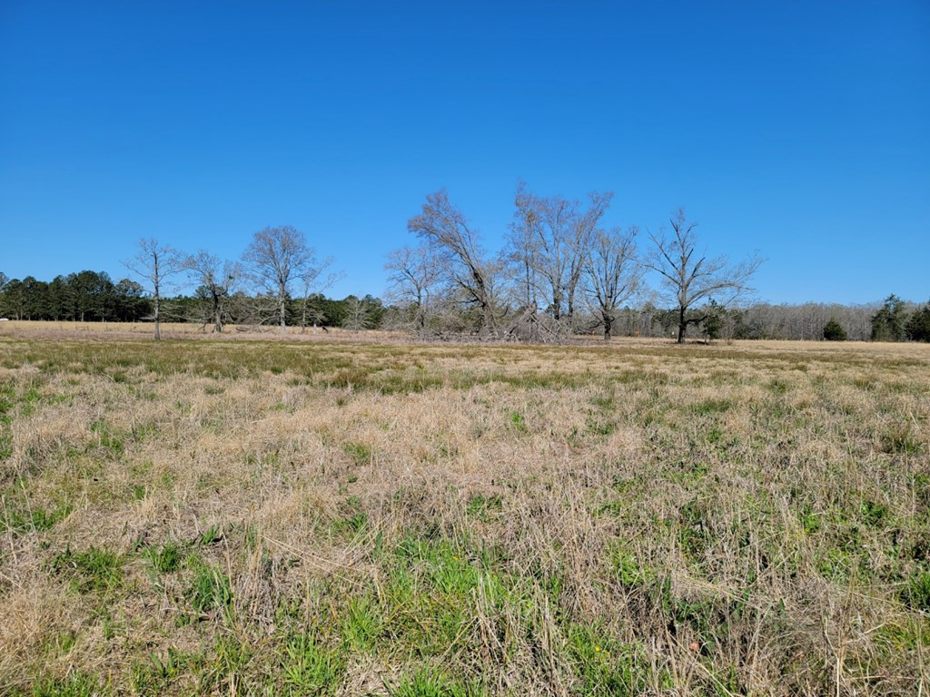 0 Smith Ferry Road Sontag, MS 39665 - Photo 7 of 25 Photo 7