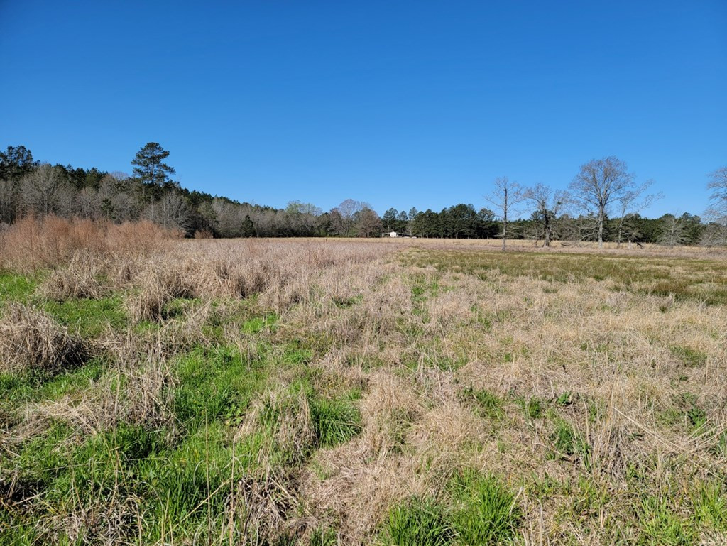 0 Smith Ferry Road Sontag, MS 39665 - Photo 8 of 25 Photo 8