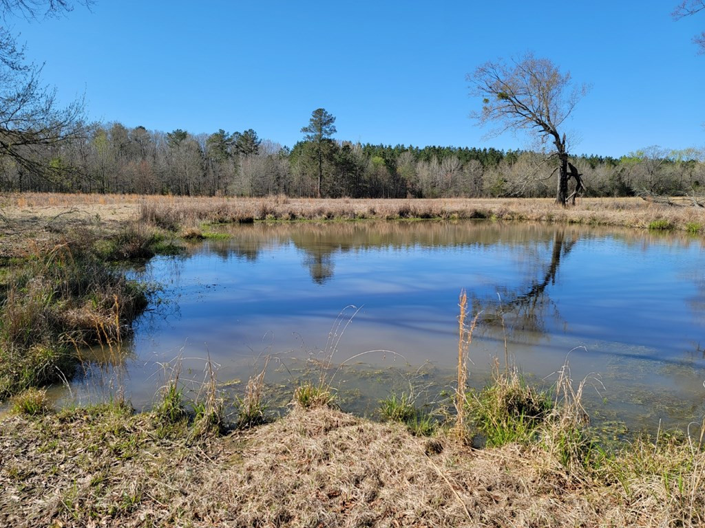 0 Smith Ferry Road Sontag, MS 39665 - Photo 9 of 25 Photo 9