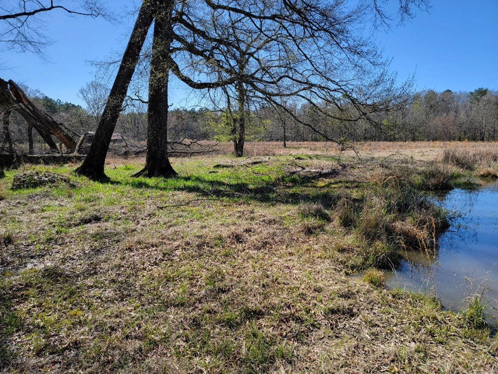 0 Smith Ferry Road Sontag, MS 39665 - Photo 10 of 25 Photo 10