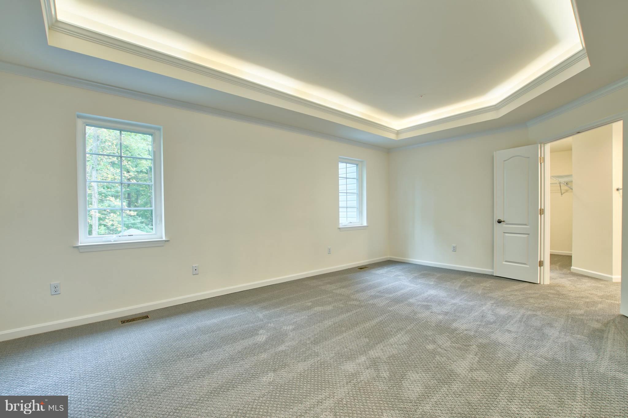 8103 Redstone Road Kingsville, MD 21087 - Photo 14 of 24 Master bedroom with tray ceiling