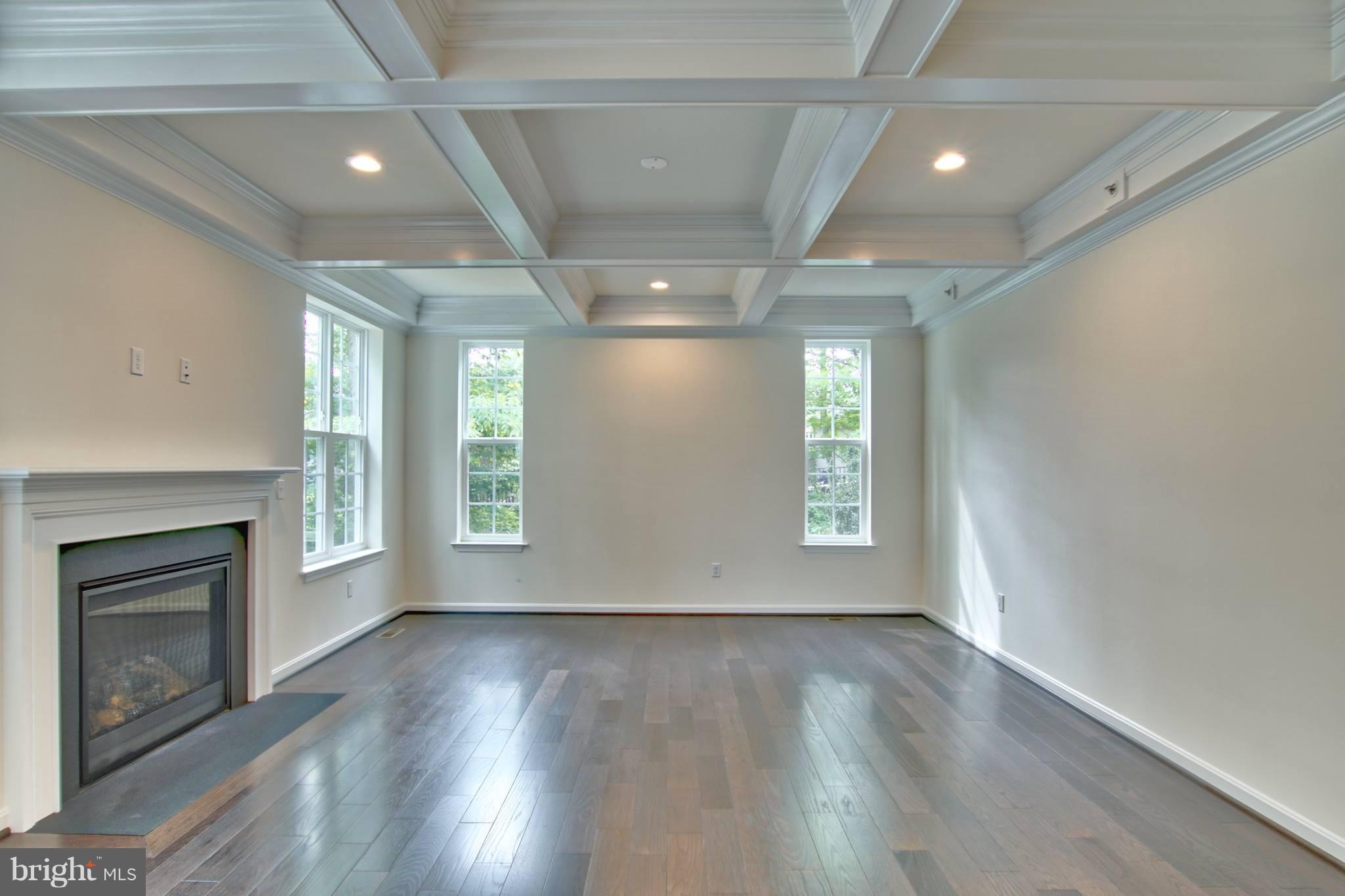 8103 Redstone Road Kingsville, MD 21087 - Photo 7 of 24 Family room coffered ceiling
