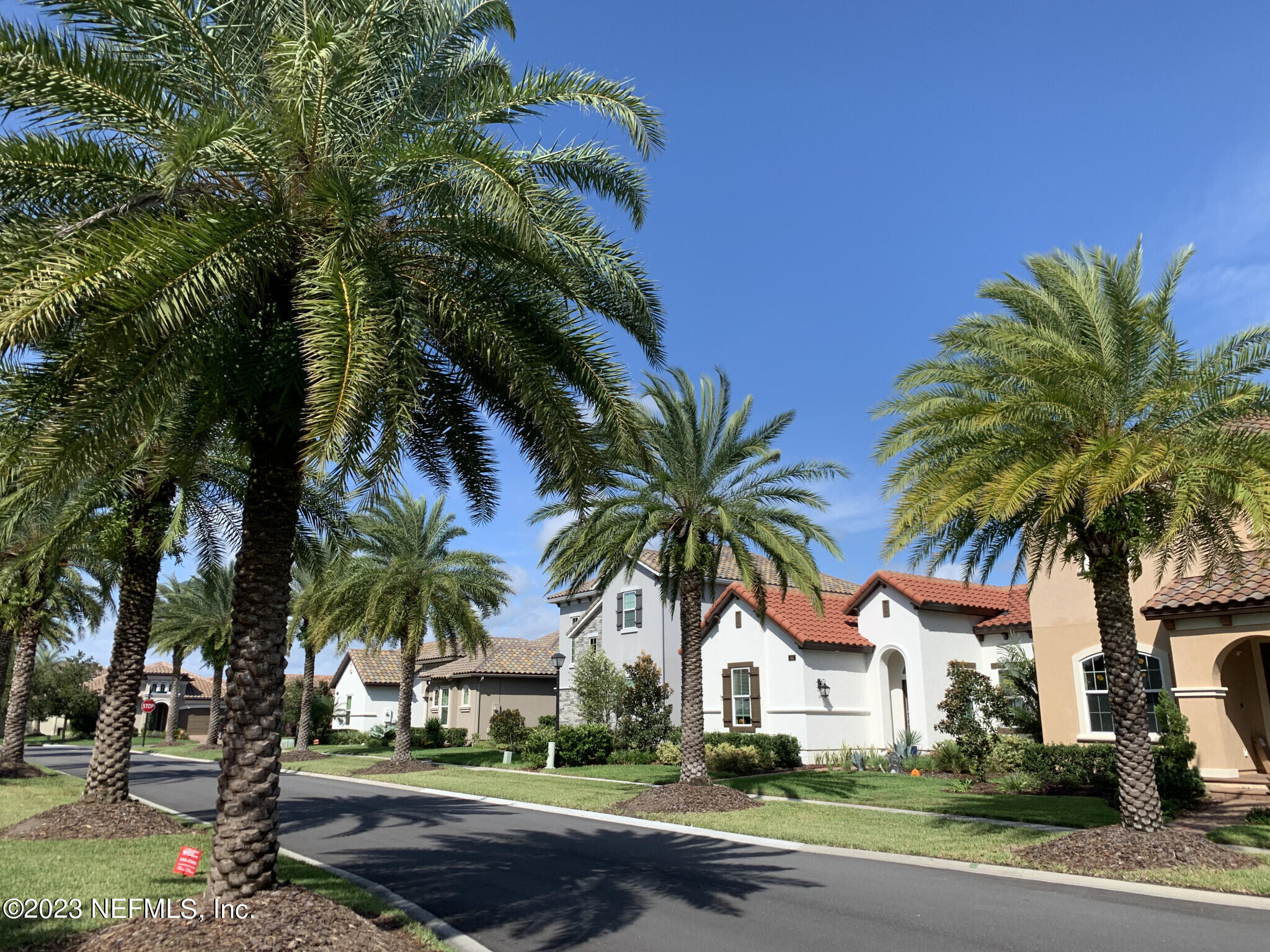 44 Rinaldo Way Ponte Vedra, FL 32081 - Photo 2 of 30 a palm tree sitting in front of a house with a yard