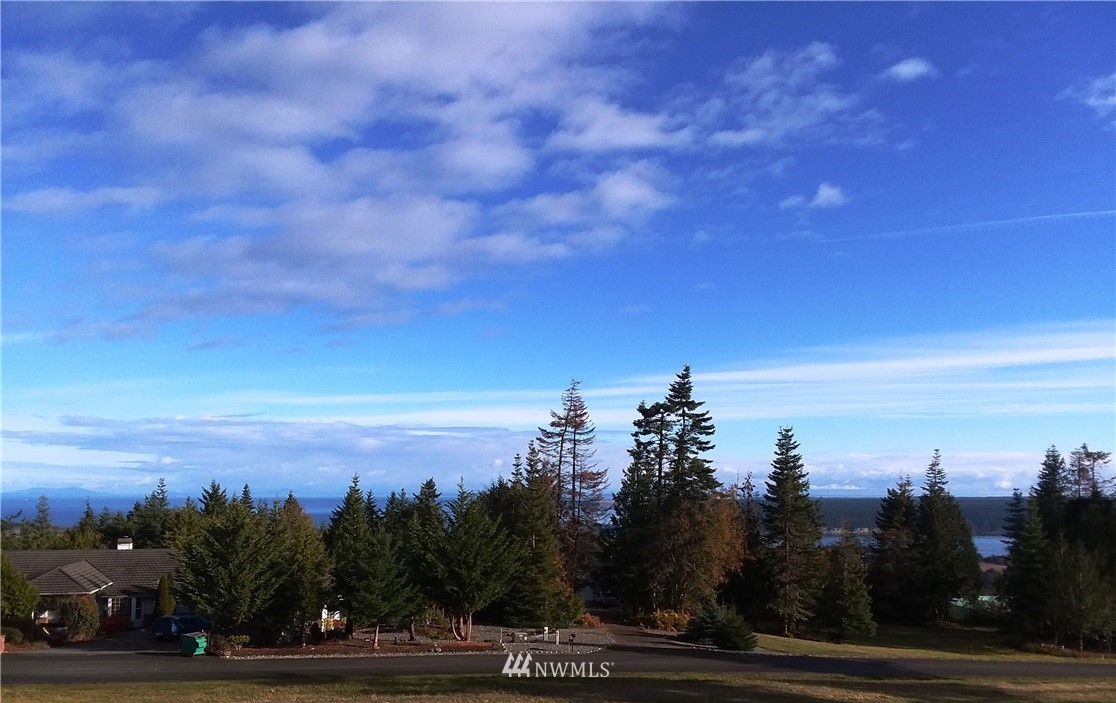 0 999 Doe Run Road Sequim, WA 98382 - Photo 1 of 19