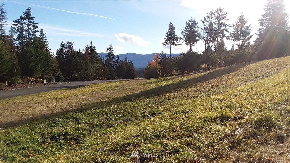 0 999 Doe Run Road Sequim, WA 98382 - Photo 11 of 19