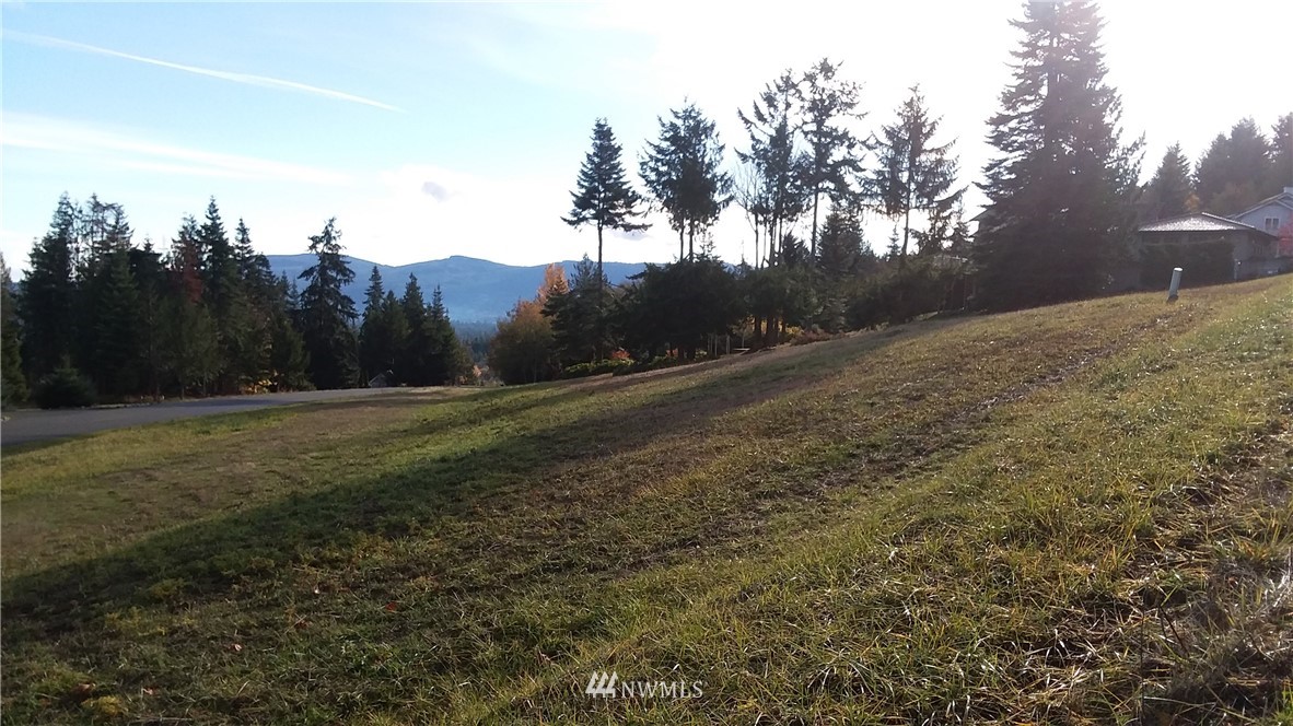 0 999 Doe Run Road Sequim, WA 98382 - Photo 13 of 19