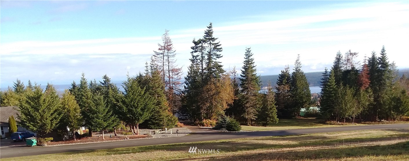 0 999 Doe Run Road Sequim, WA 98382 - Photo 14 of 19
