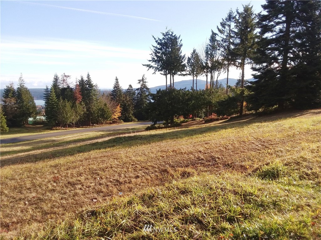 0 999 Doe Run Road Sequim, WA 98382 - Photo 15 of 19