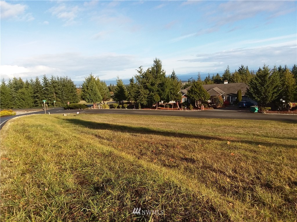 0 999 Doe Run Road Sequim, WA 98382 - Photo 16 of 19