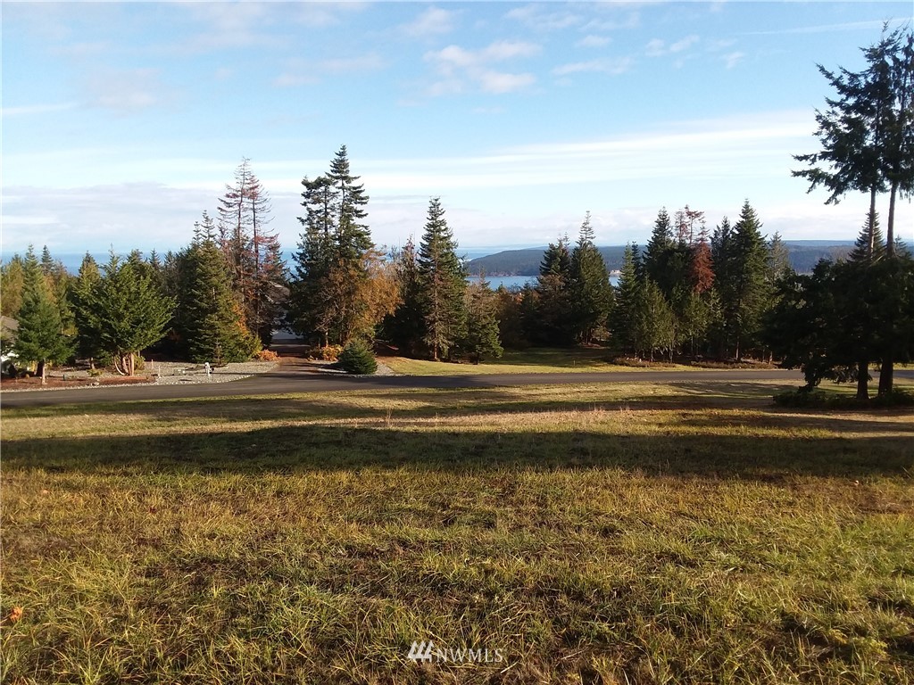 0 999 Doe Run Road Sequim, WA 98382 - Photo 17 of 19
