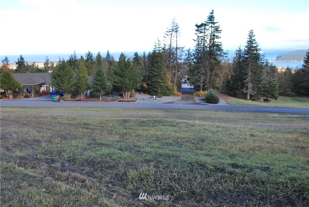 0 999 Doe Run Road Sequim, WA 98382 - Photo 19 of 19