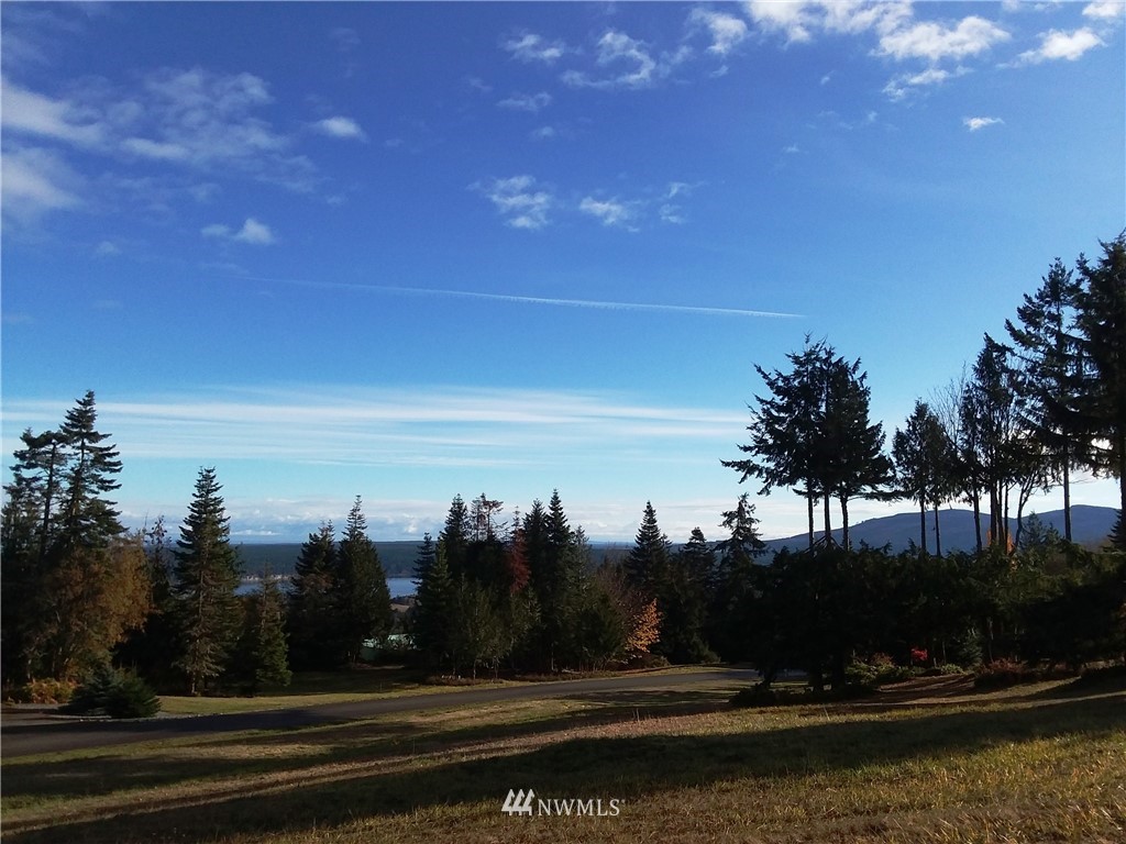 0 999 Doe Run Road Sequim, WA 98382 - Photo 3 of 19