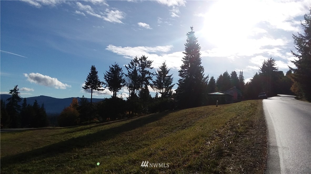 0 999 Doe Run Road Sequim, WA 98382 - Photo 5 of 19
