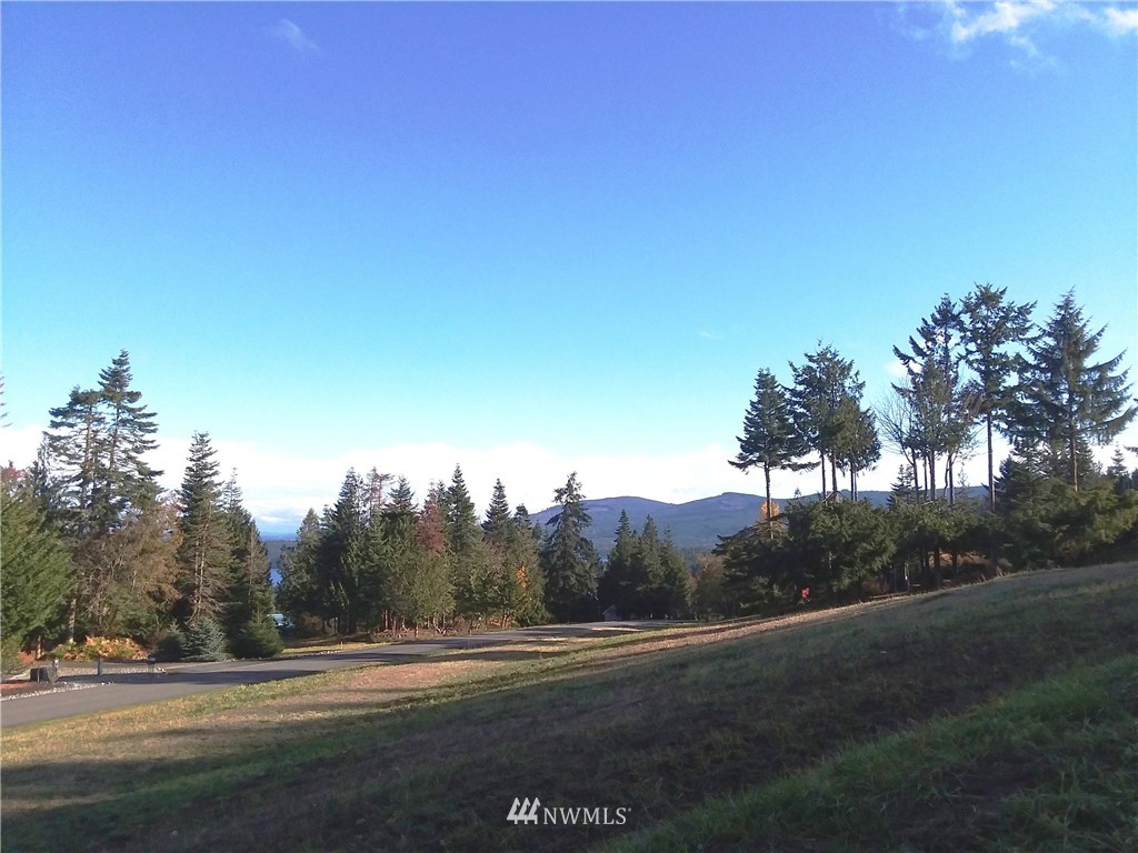 0 999 Doe Run Road Sequim, WA 98382 - Photo 8 of 19