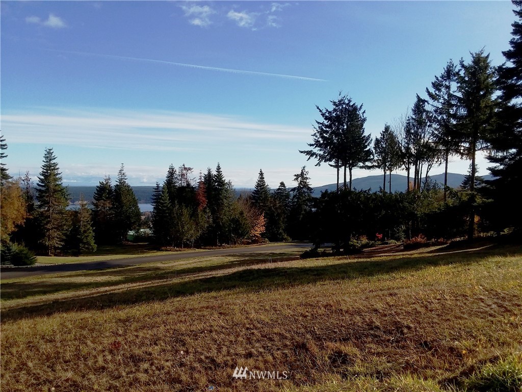 0 999 Doe Run Road Sequim, WA 98382 - Photo 9 of 19