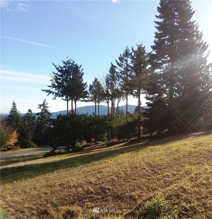 0 999 Doe Run Road Sequim, WA 98382 - Photo 10 of 19