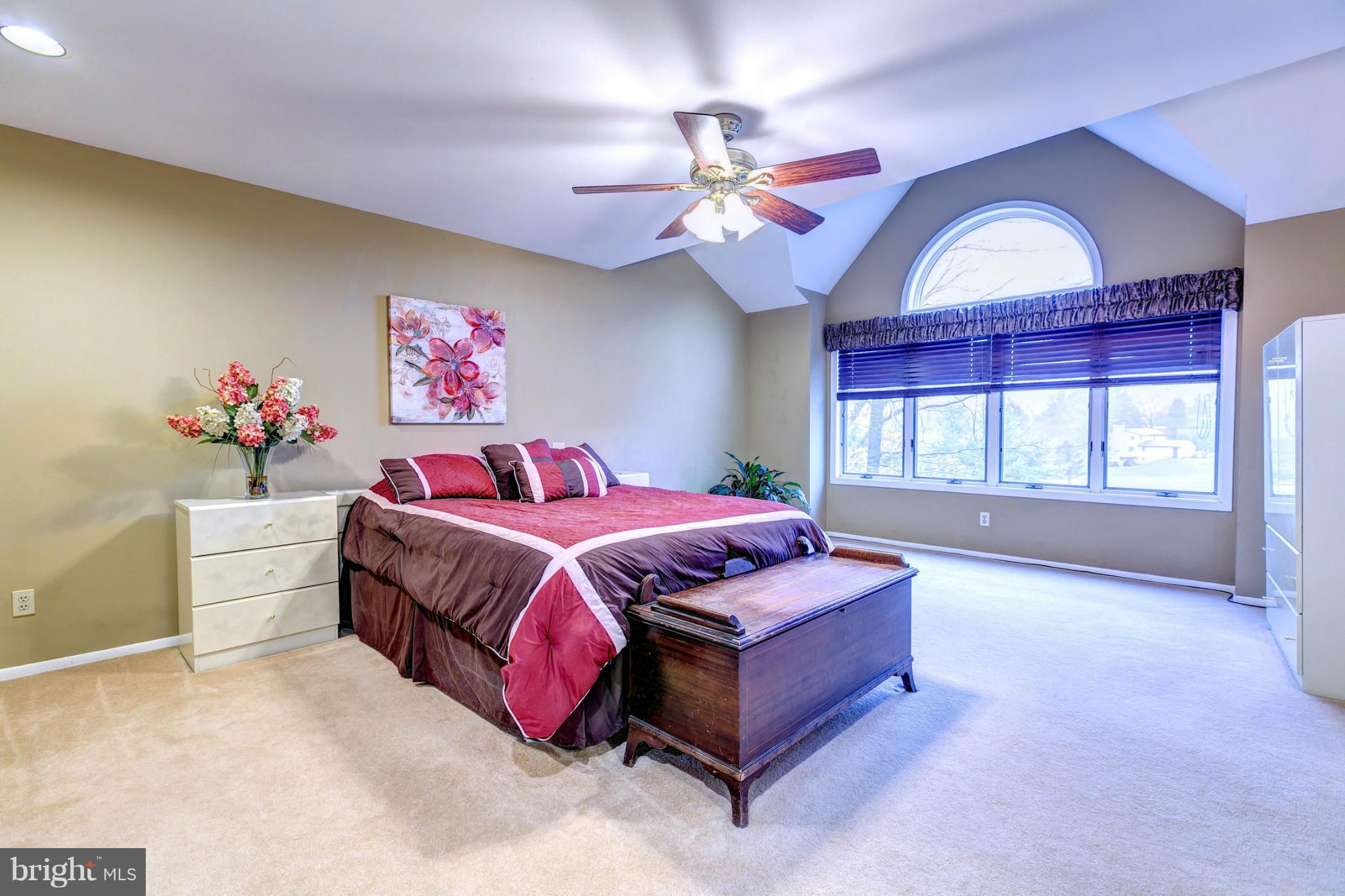 303 Delight Meadows Road Reisterstown, MD 21136 - Photo 14 of 30 Sun-Filled Master Bedroom