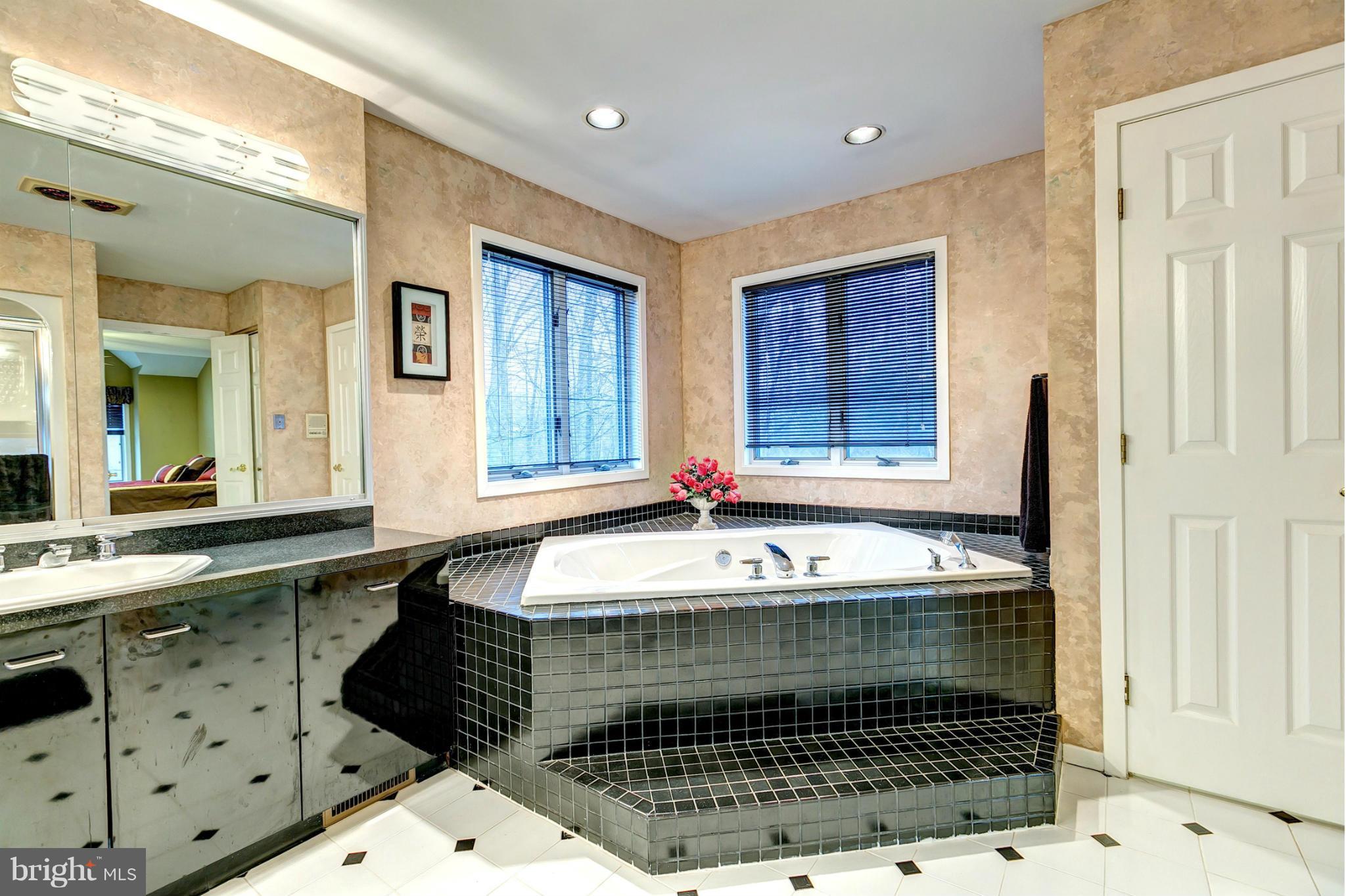 303 Delight Meadows Road Reisterstown, MD 21136 - Photo 17 of 30 Relax In This Luxurious Soaking Tub