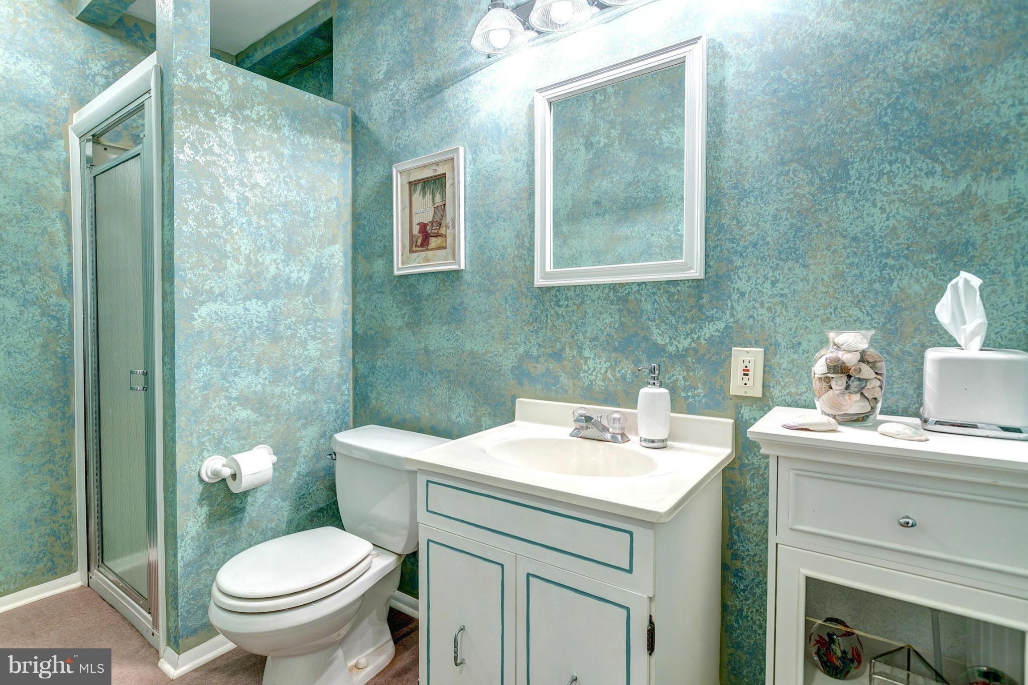 303 Delight Meadows Road Reisterstown, MD 21136 - Photo 24 of 30 Full Bath On Lower Level