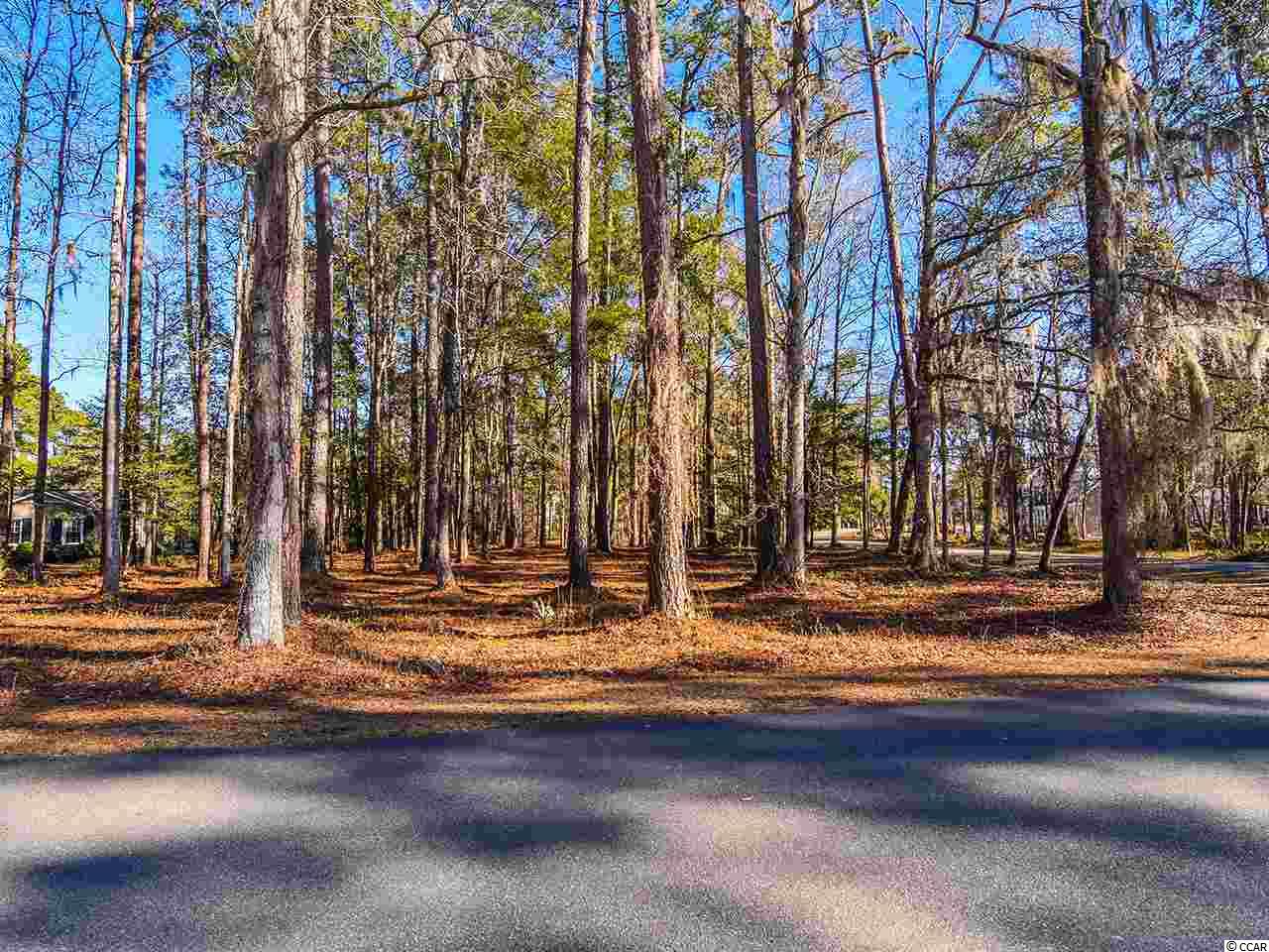 Lot 1 Makepeace Road Pawleys Island, SC 29585 - Photo 1 of 12 Gallery Image 1