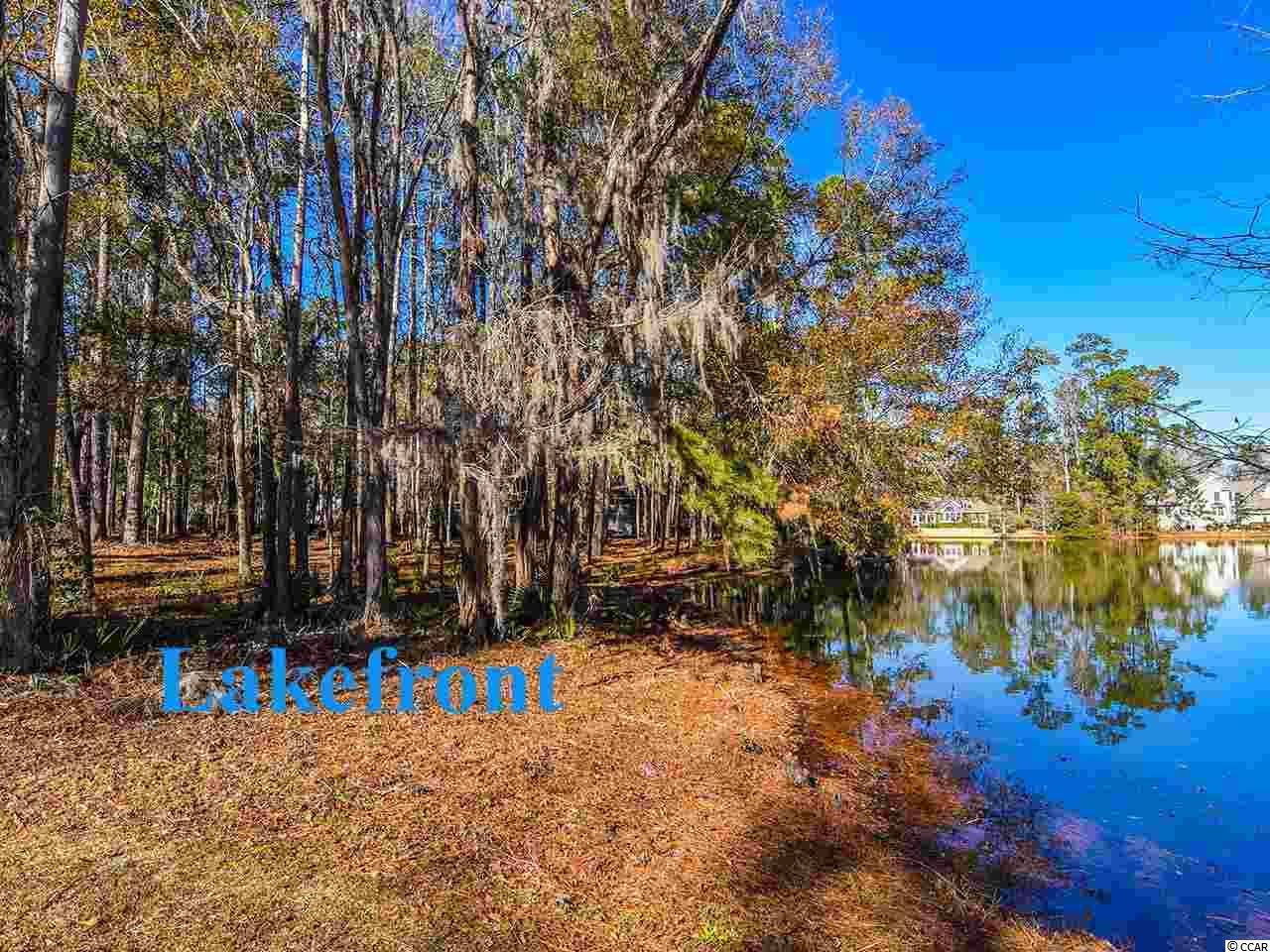 Lot 1 Makepeace Road Pawleys Island, SC 29585 - Photo 4 of 12 Gallery Image 4