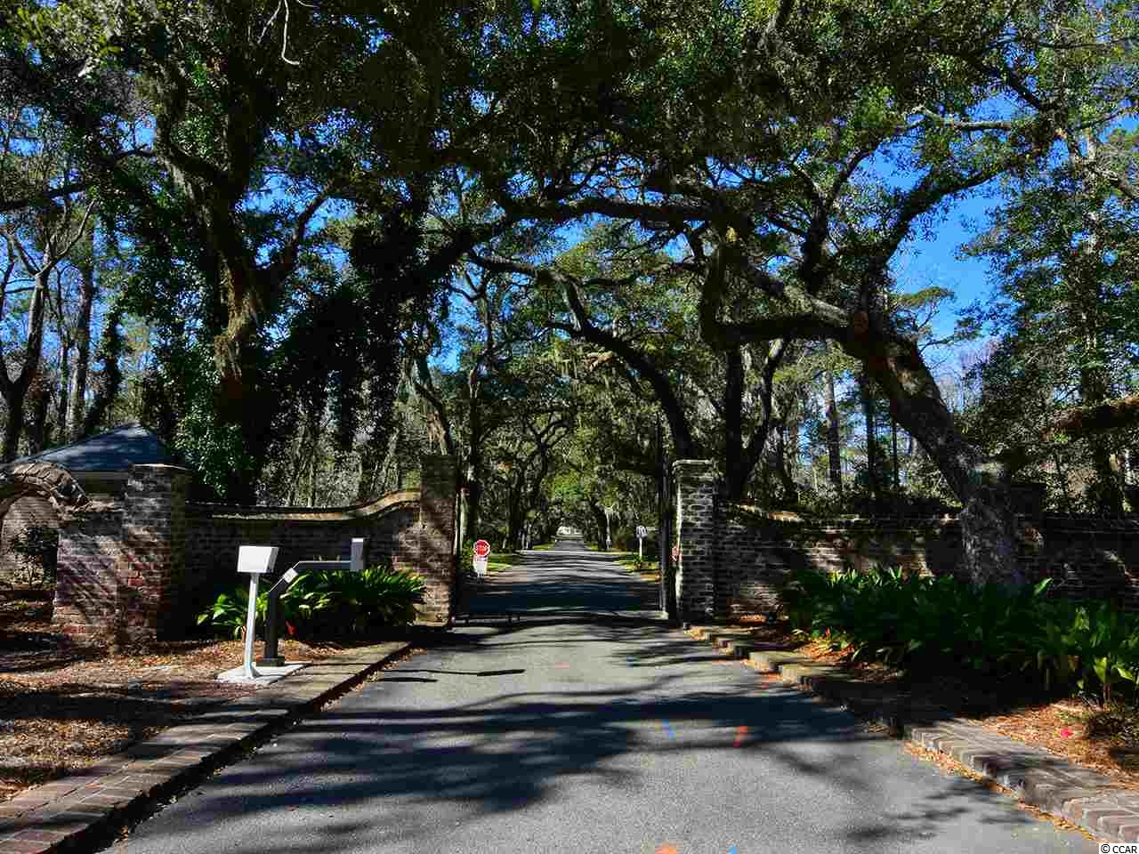 Lot 1 Makepeace Road Pawleys Island, SC 29585 - Photo 8 of 12 Gallery Image 8