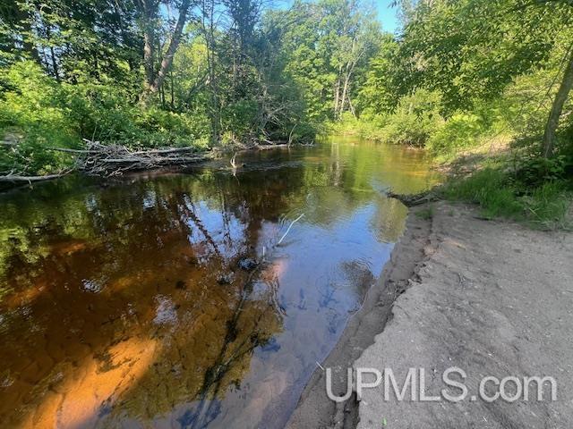 11.6 Acres Off Remington Road Marquette, MI 49855 - Photo 36 of 39