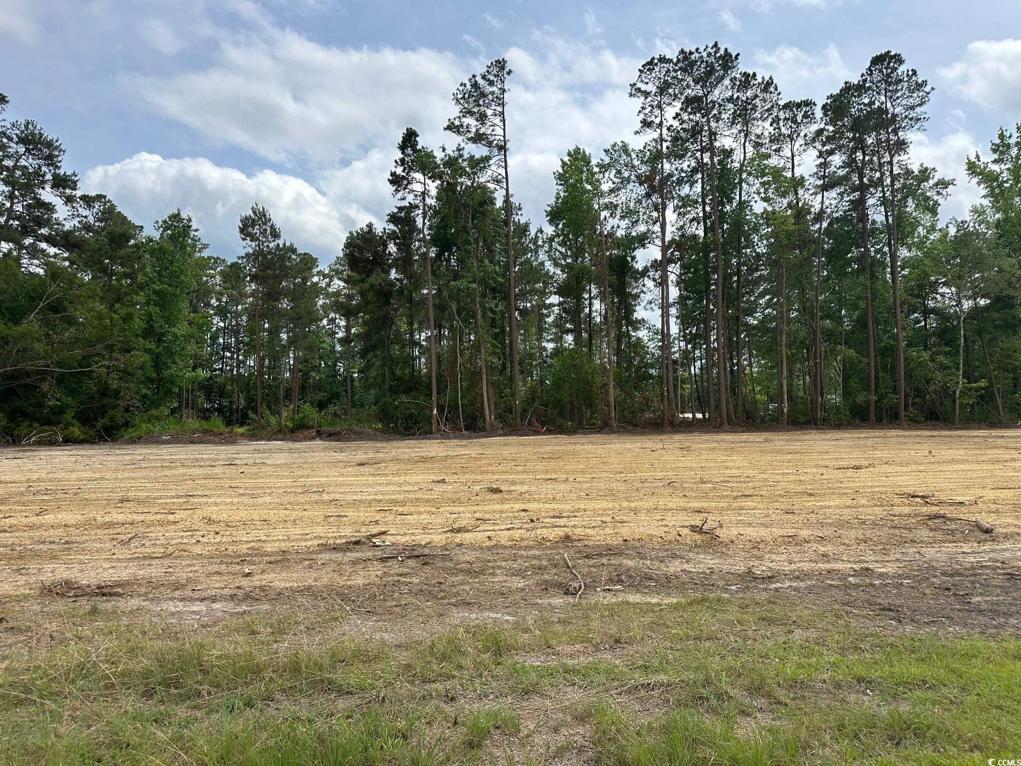 2 St-john Road Galivants Ferry, SC 29544 - Photo 1 of 2 Gallery Image 1