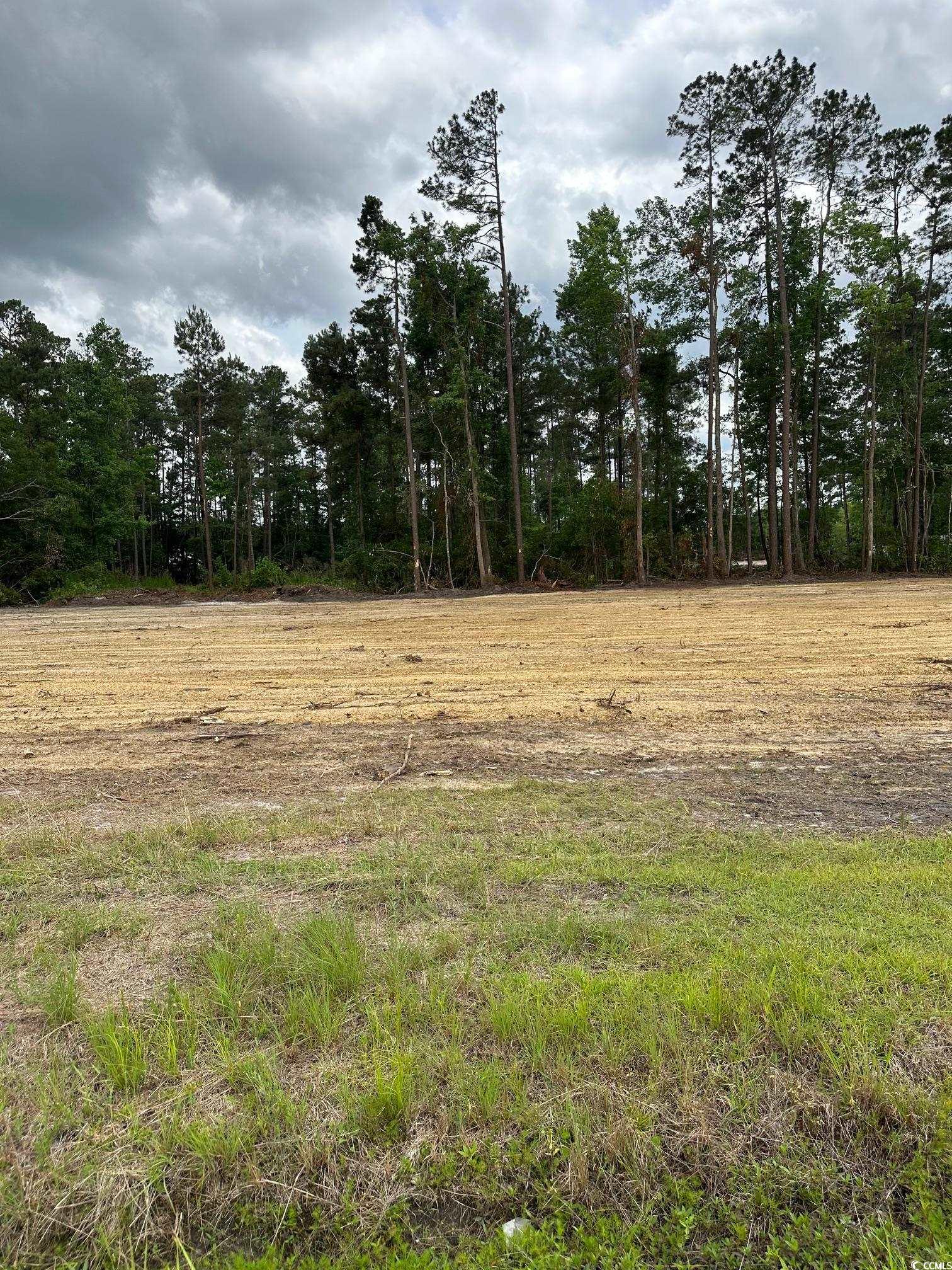 2 St-john Road Galivants Ferry, SC 29544 - Photo 2 of 2 Gallery Image 2