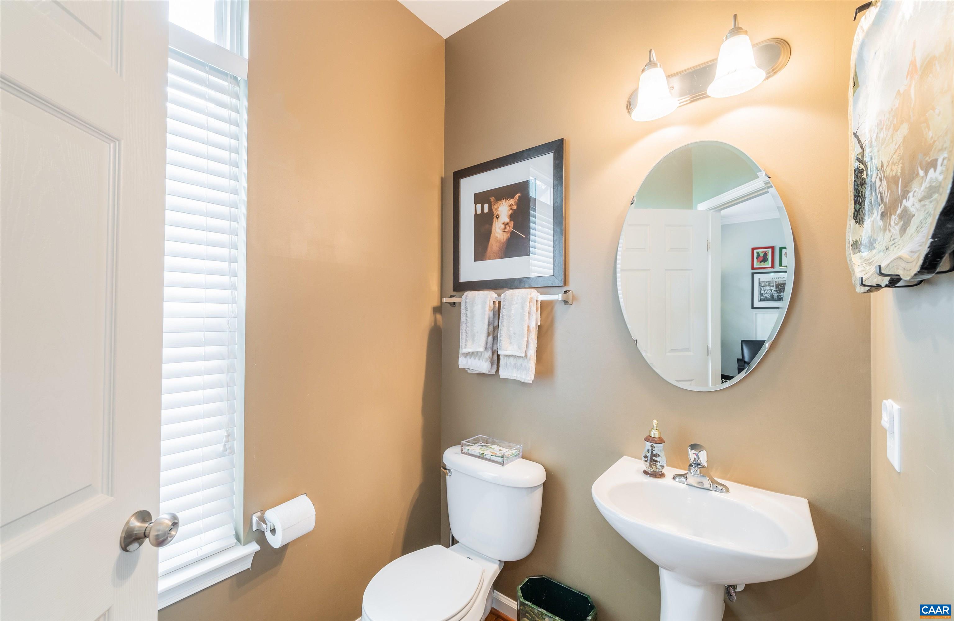 719 Rainier Road Charlottesville, VA 22903 - Photo 12 of 39