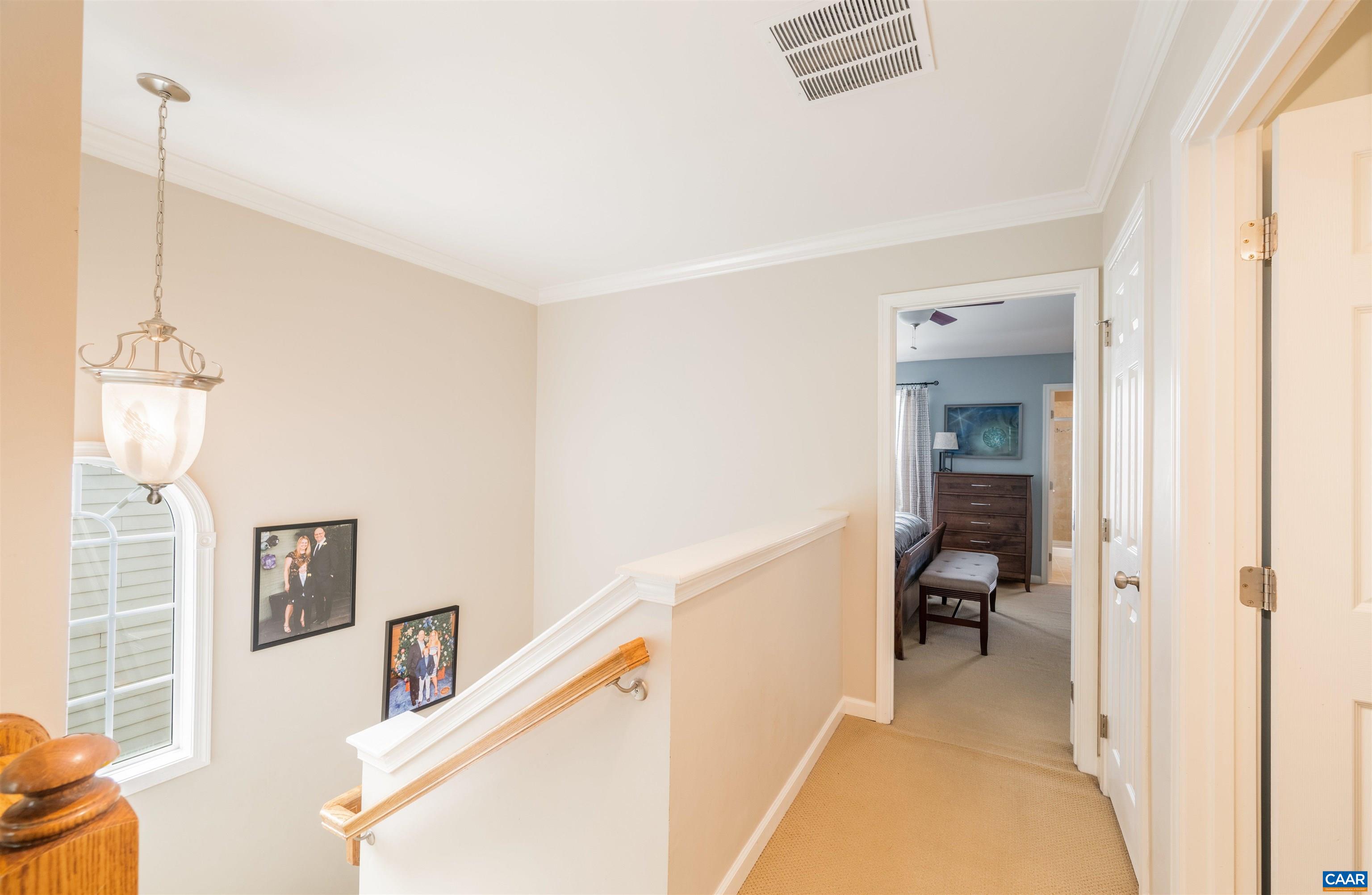 719 Rainier Road Charlottesville, VA 22903 - Photo 23 of 39