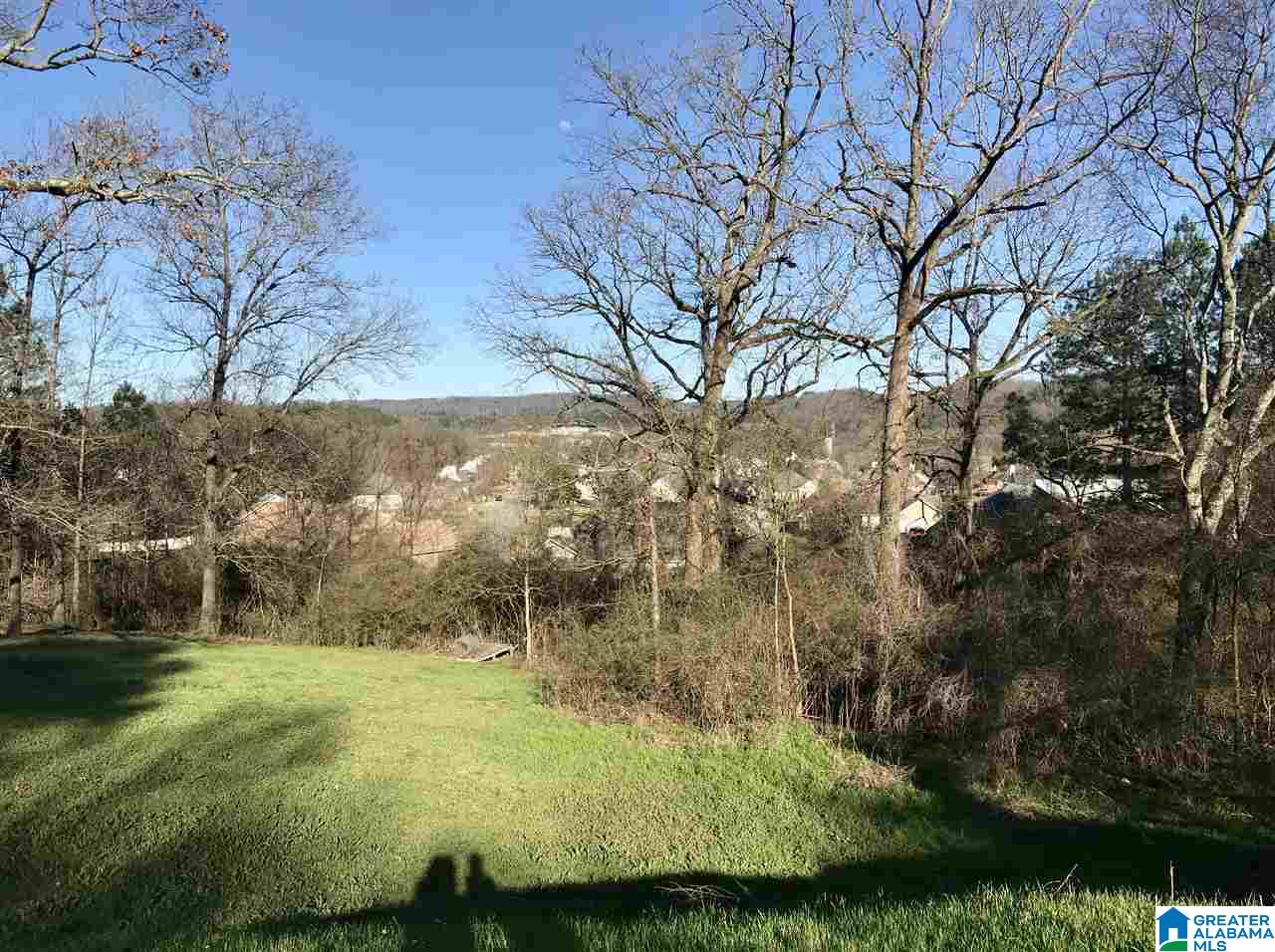 King Valley Circle, Unit 9 Pelham, AL 35124 - Photo 4 of 6