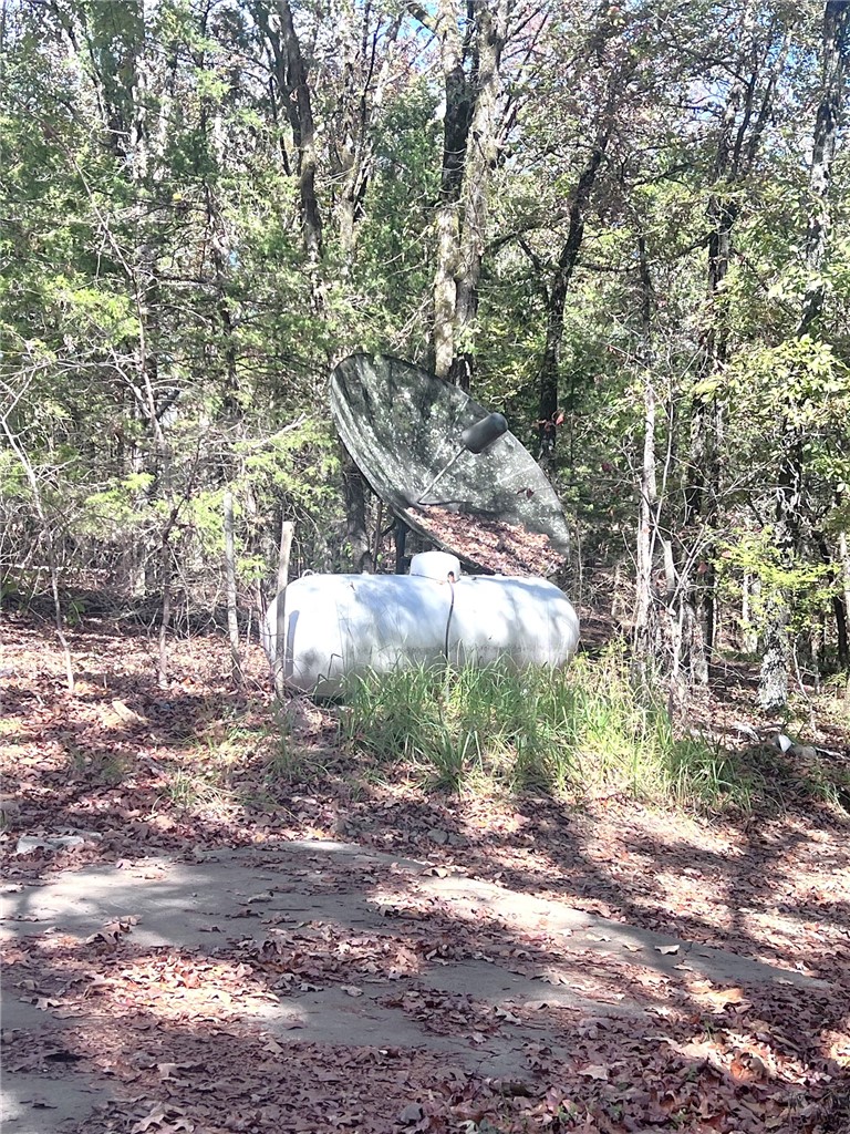 5555 Highway 282 Rudy, AR 72952 - Photo 24 of 26 Propane Tank