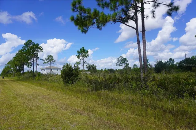 a view of a park with a big yard
