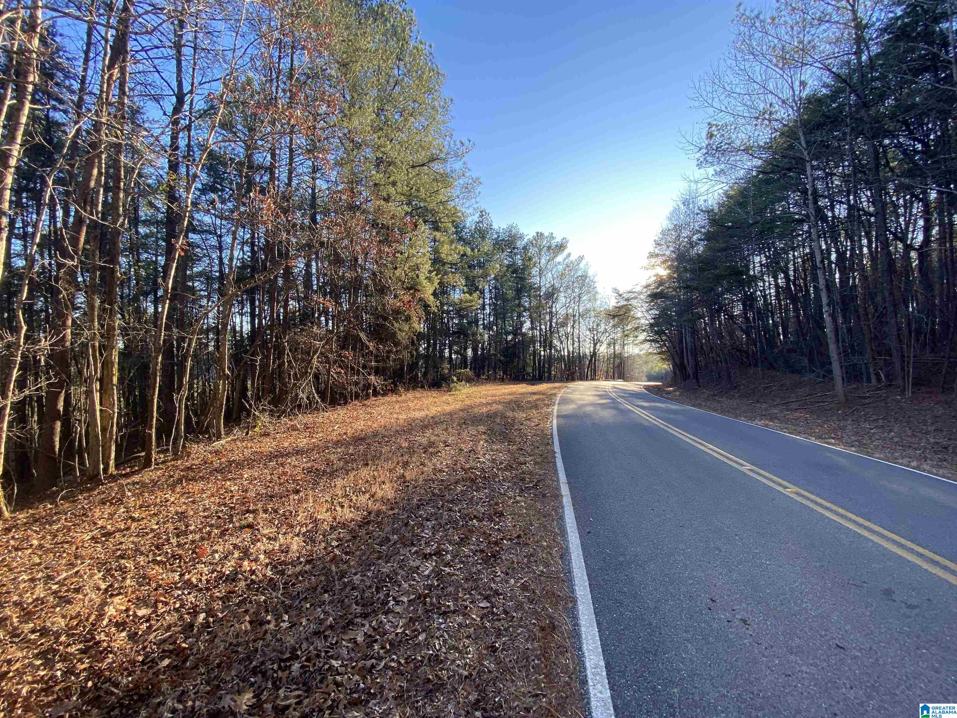 15023 Lock 17 Road, Unit 1 Adger, AL 35006 - Photo 7 of 7